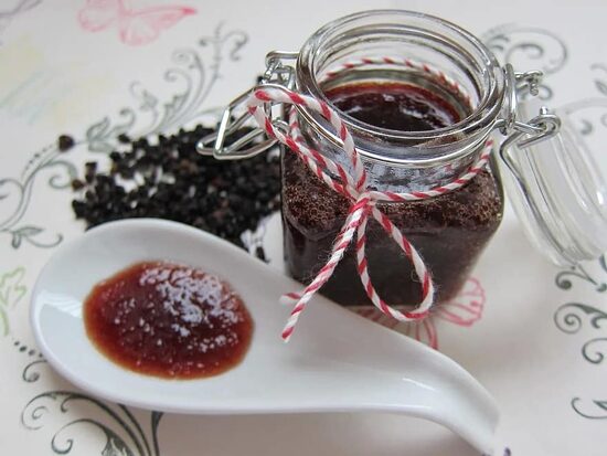 Juodasis šeivamedis Sambucus nigra L. Sėklos.